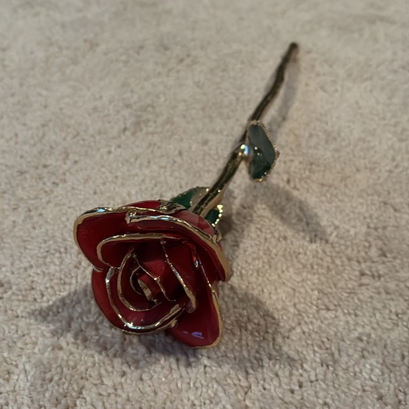 Gold tipped rose - Picture 2 of 4